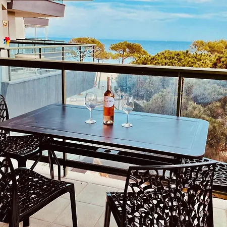 Superbe T3 Face A La - Terrasse - Apartment